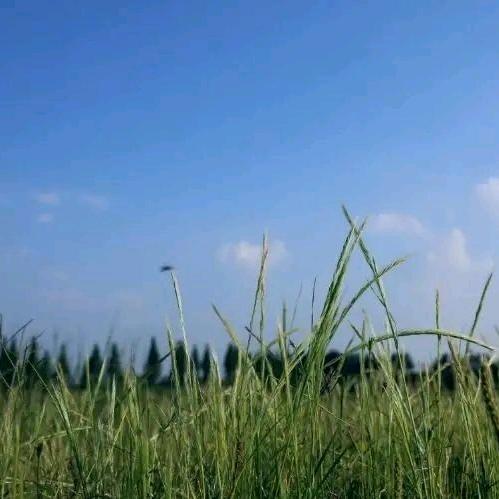 雯雯颜值推荐