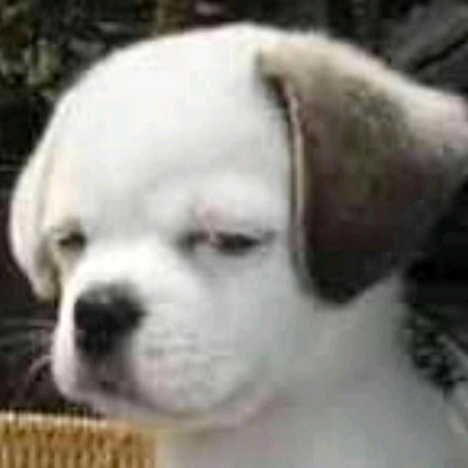 huanxinmy饰品旗舰店