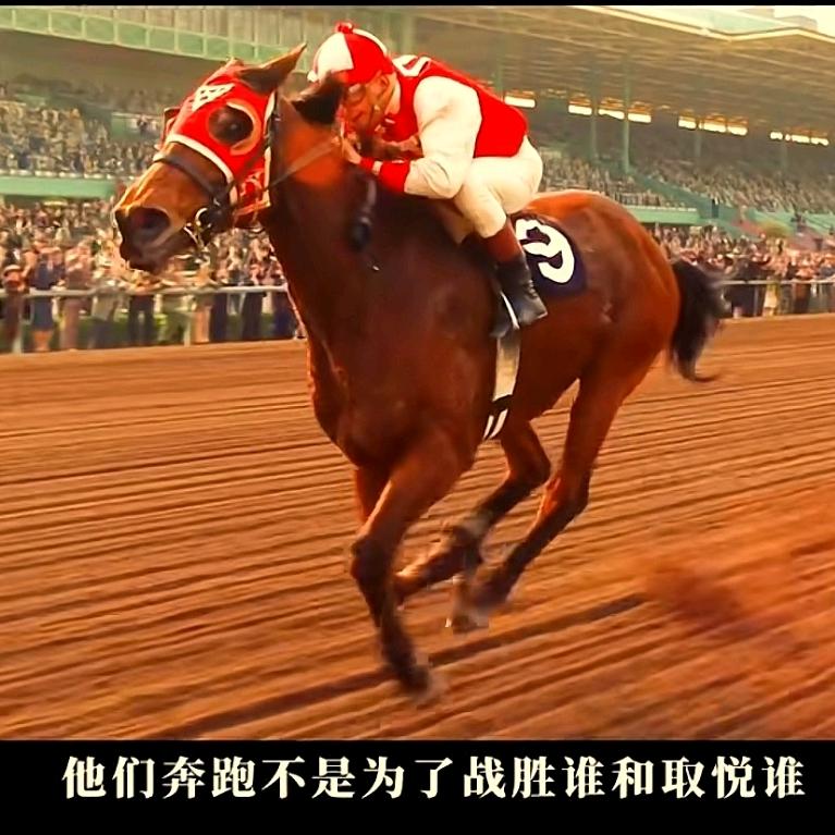 电梯往事