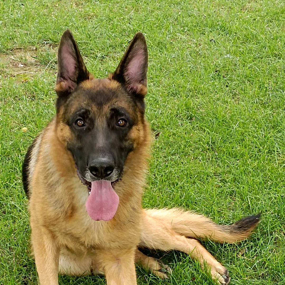 an
