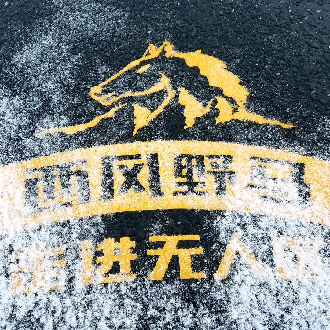 西风野马