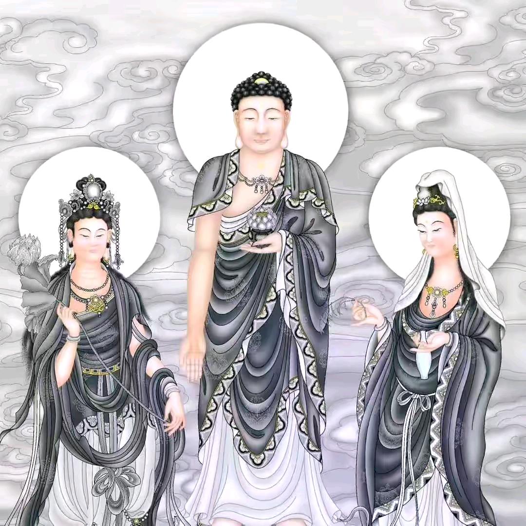 粤C***皓锋