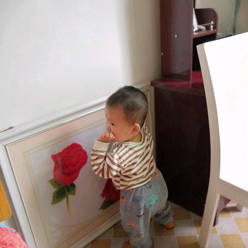 蒋君利（善女子佛利）（单亲妈妈）（居士）