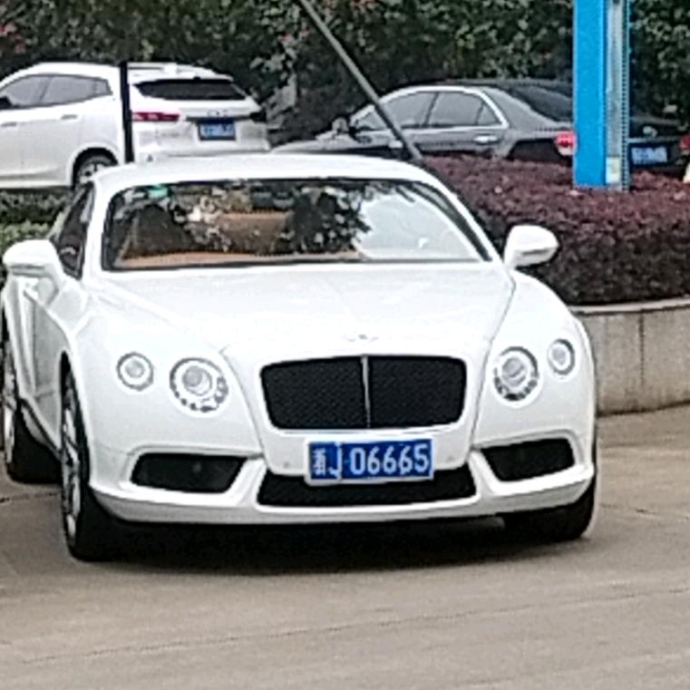 泡吧喝酒说实话。