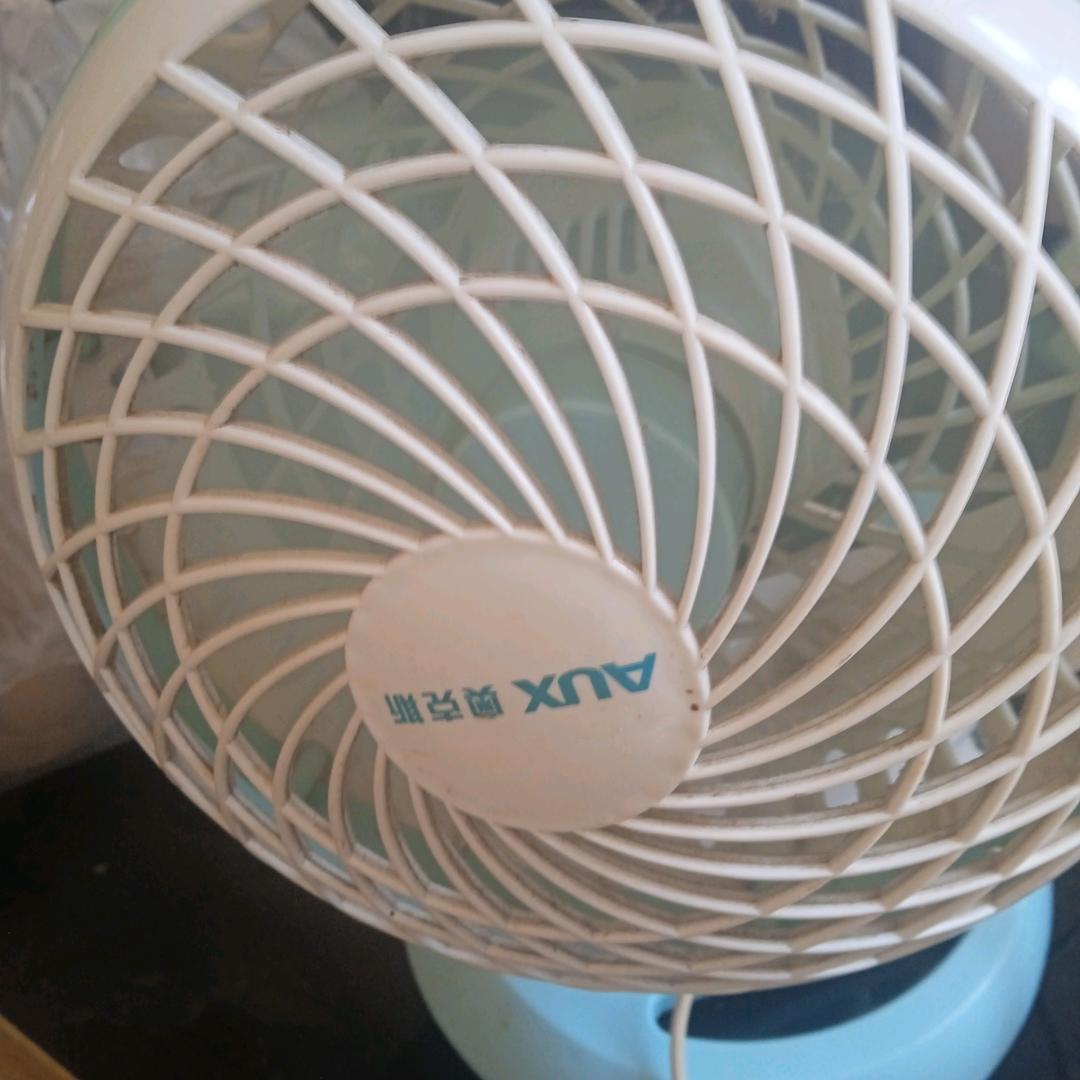 王生记