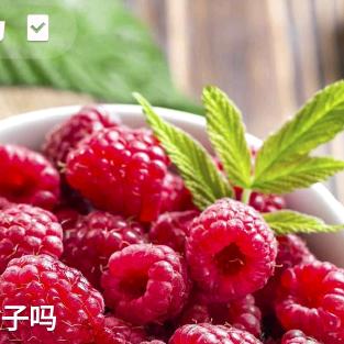 莆仙媒人～阿兰