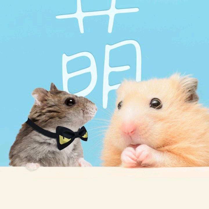 萌叫兽