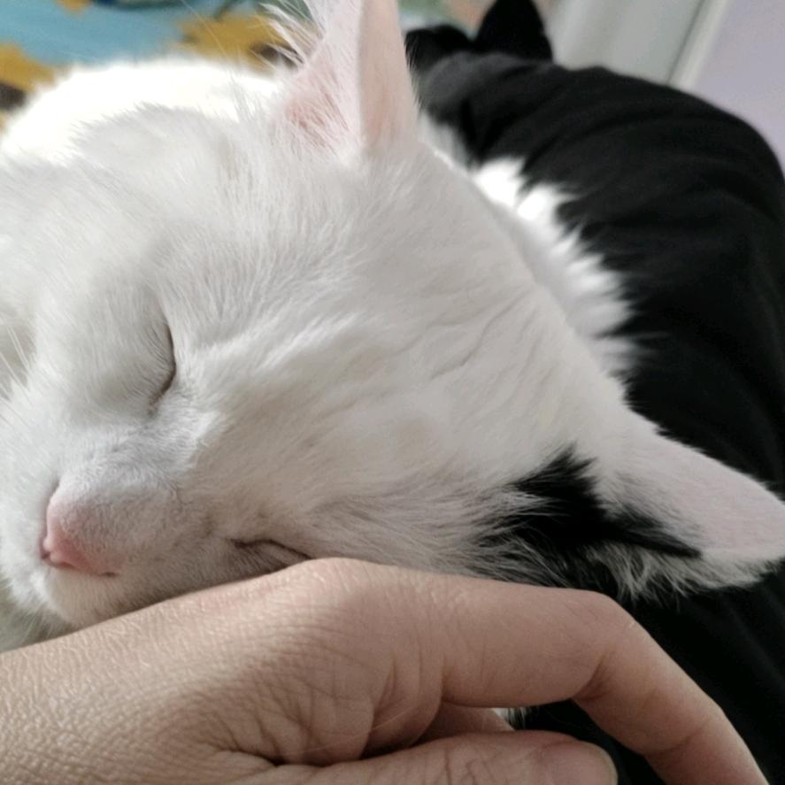 满粉语晗
