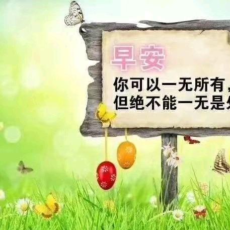 嗨😊
