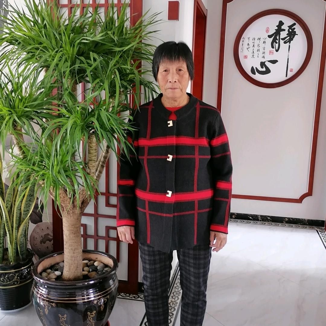 素英