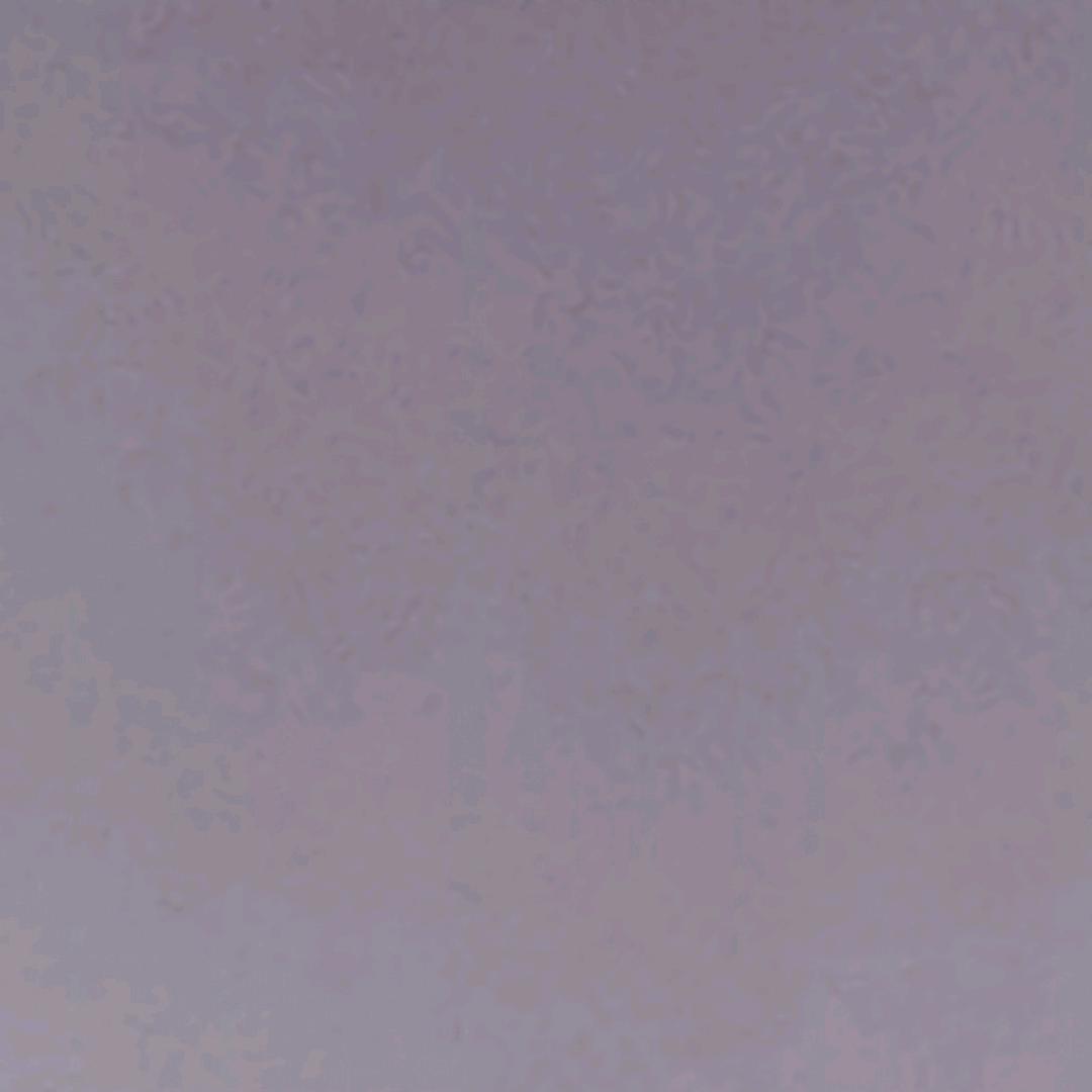 托尼咯