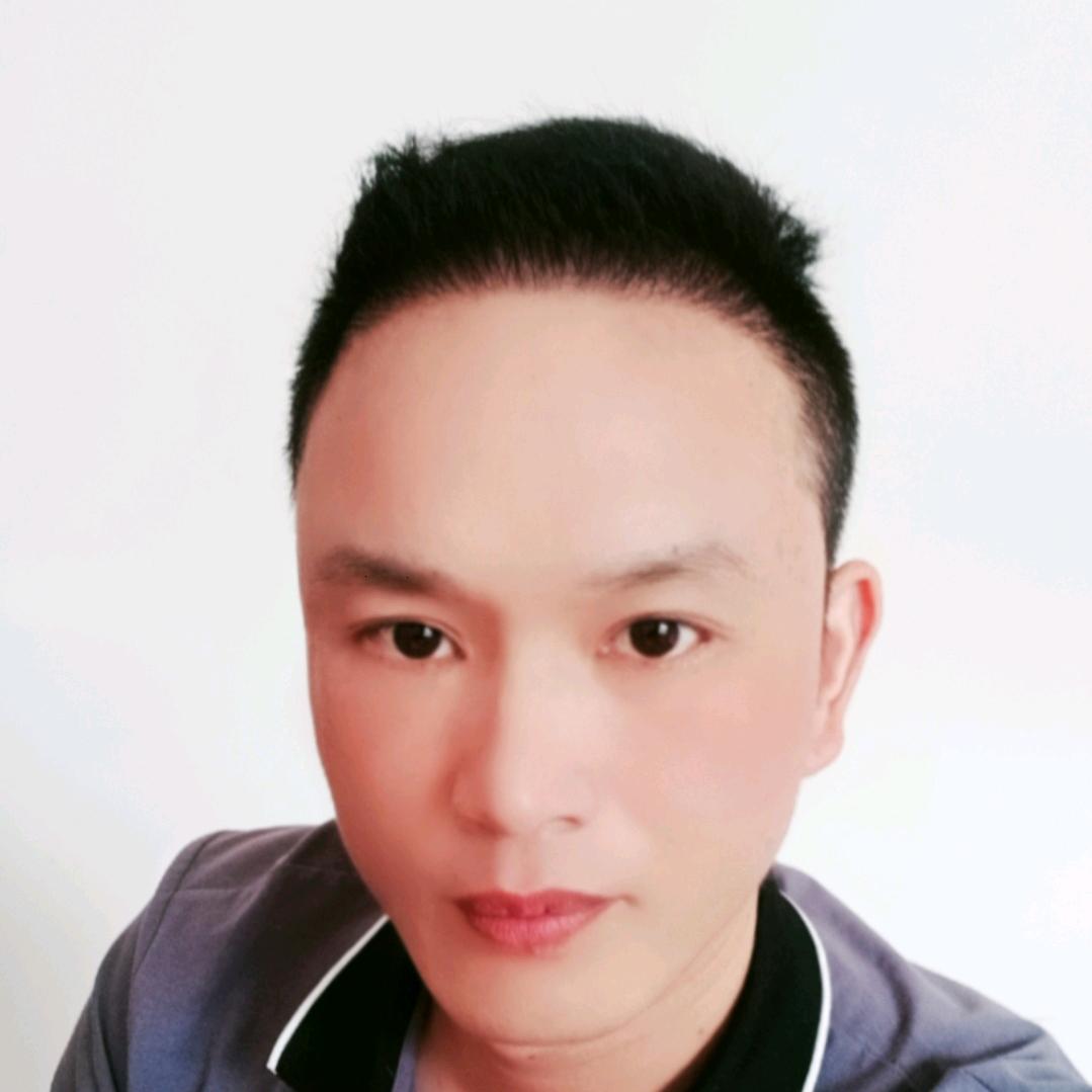 刘    歌