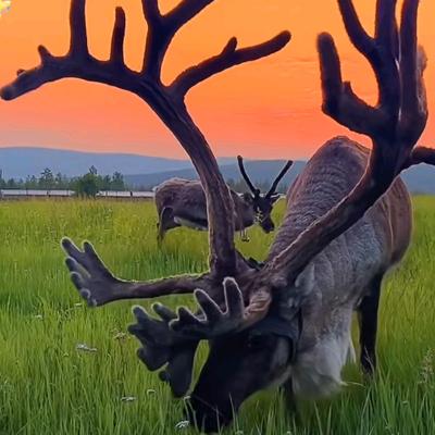 源康堂（康养理疗）