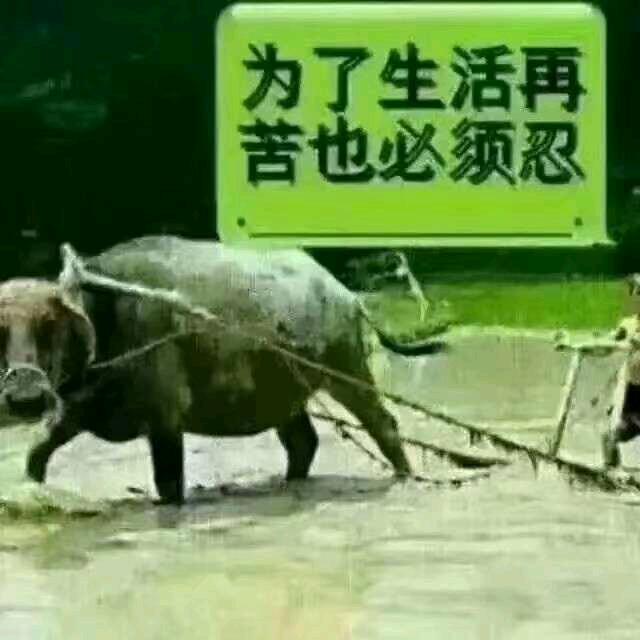改变