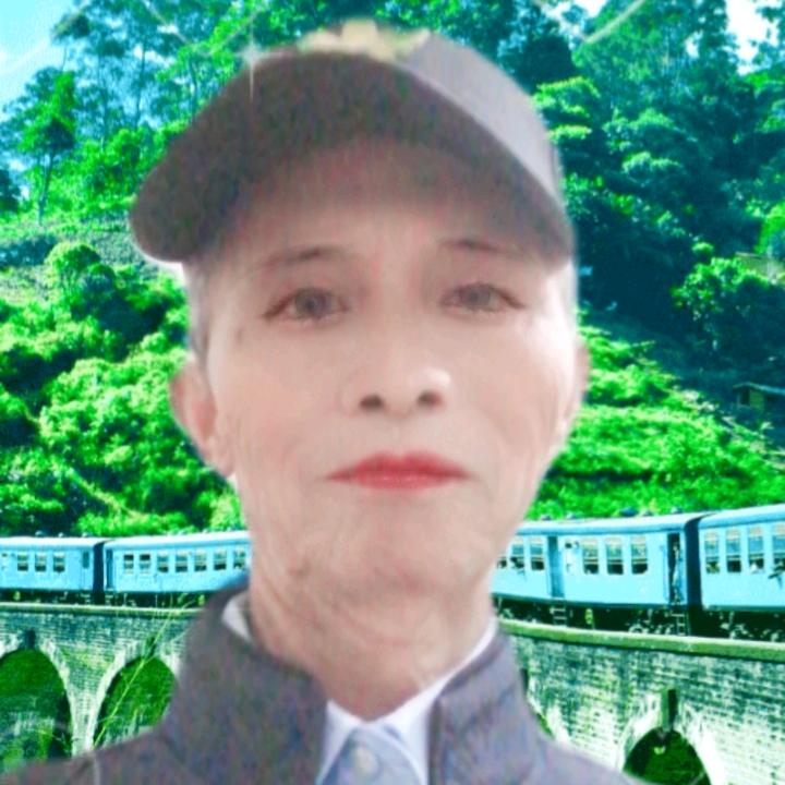 我是，木，昜，