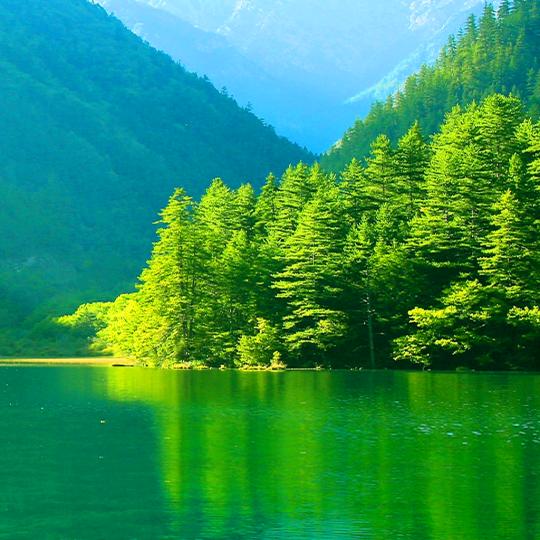 一路有你。徐生