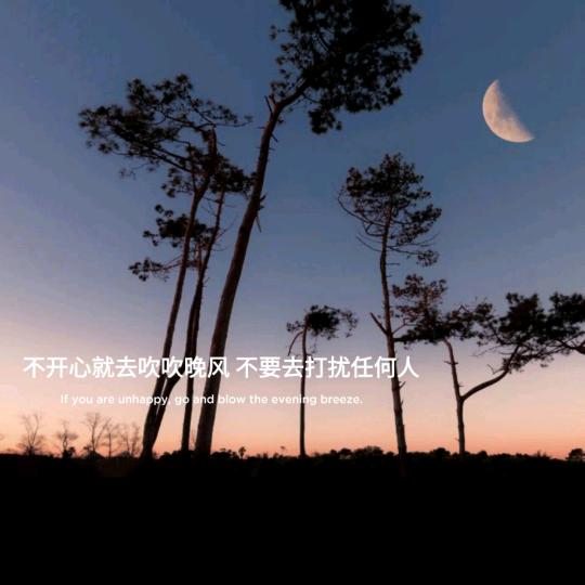 胖手小迪