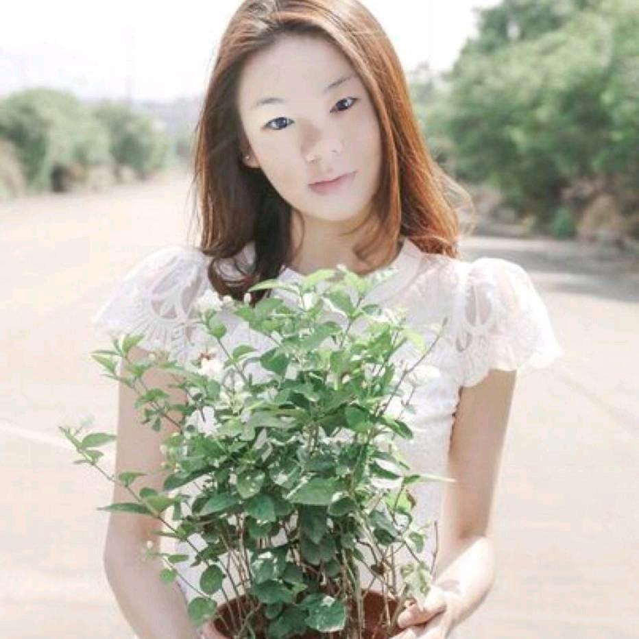 紫丁香