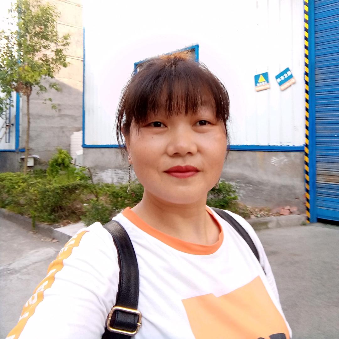 灿烂的阳光.