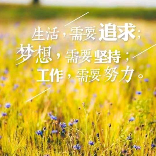 单身潇洒无牵挂
