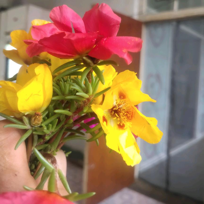 这辈子_只丶爱你