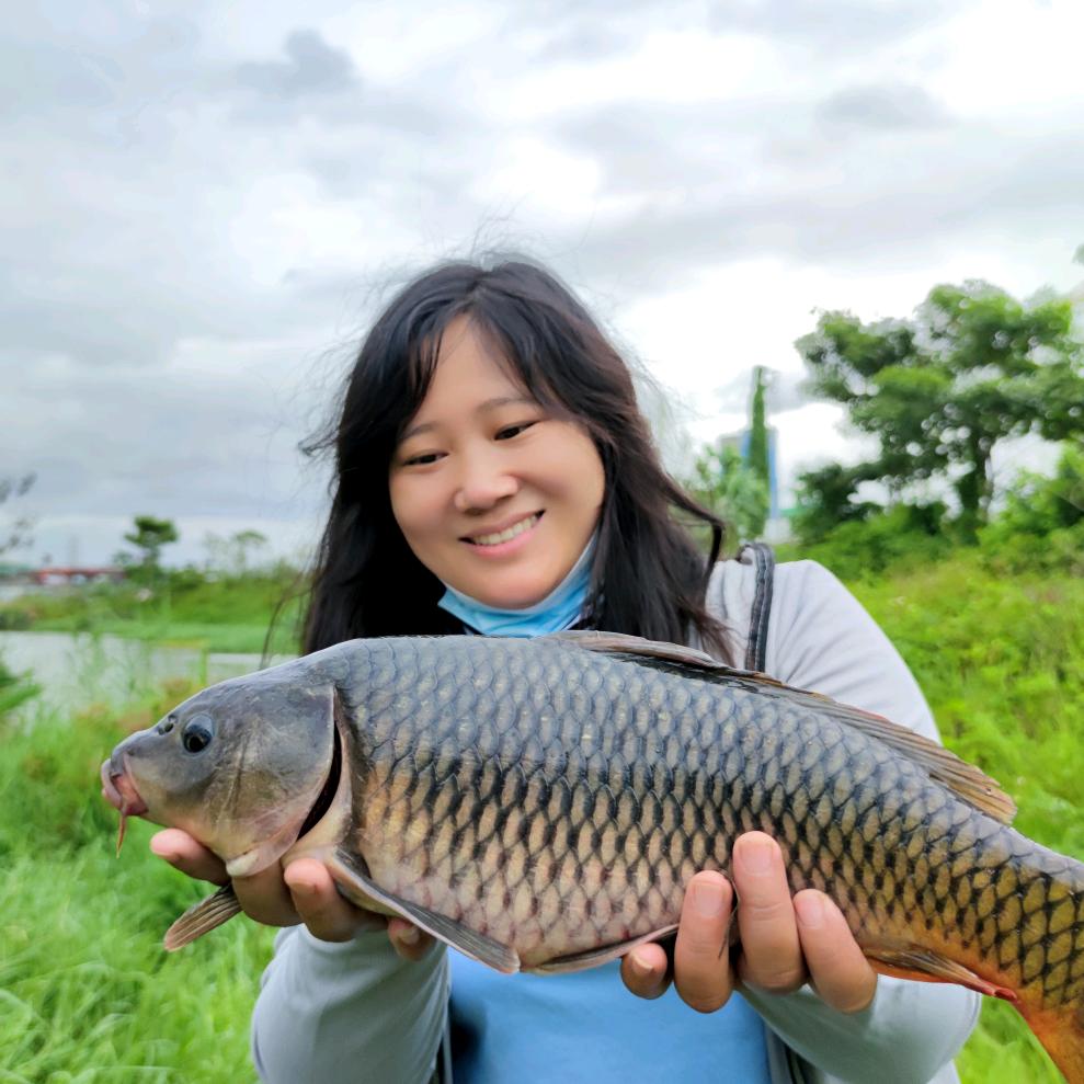 右右不肉