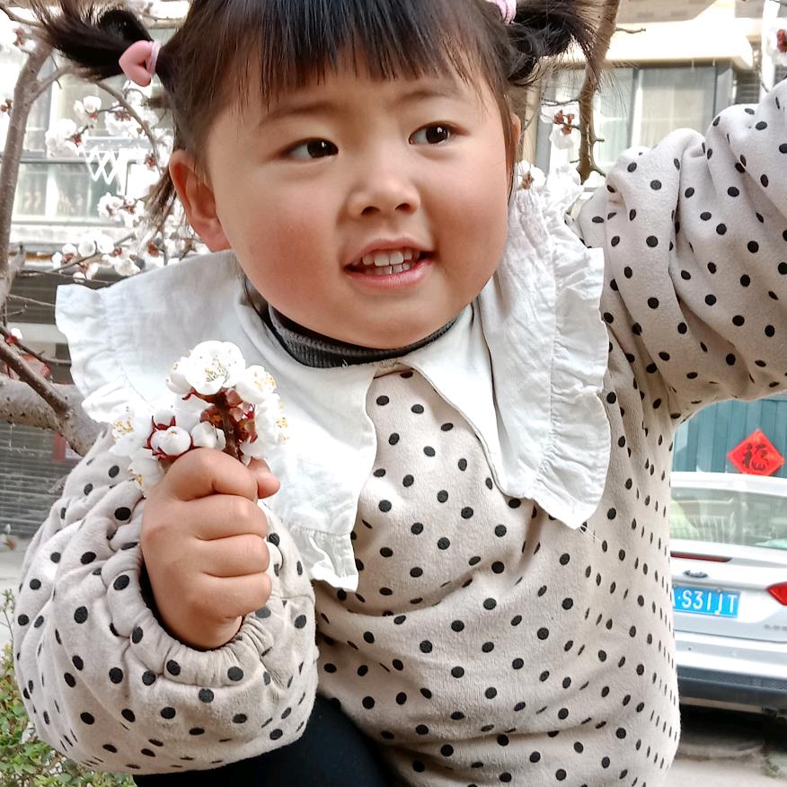 张大侠