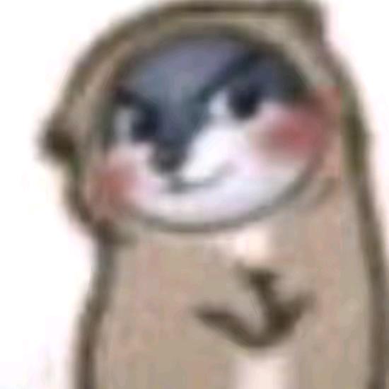大sai迷