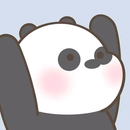 小浣熊🐻