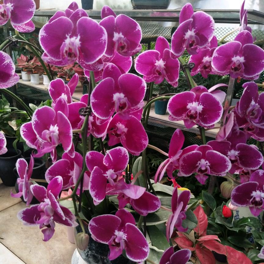 美，因为遇见你，（拒绝私聊〉