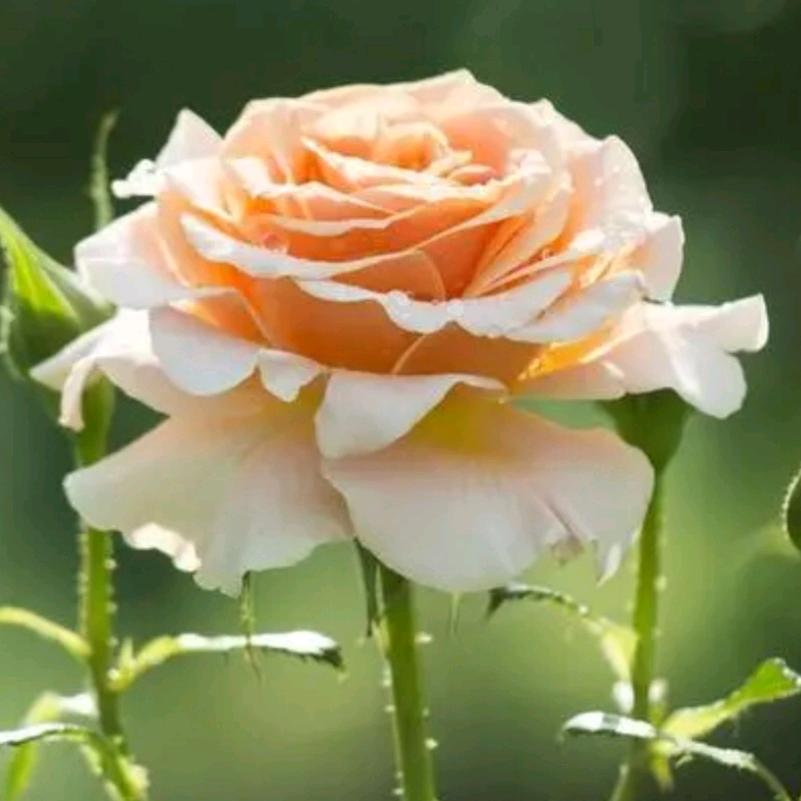 从黑暗中寻找光明