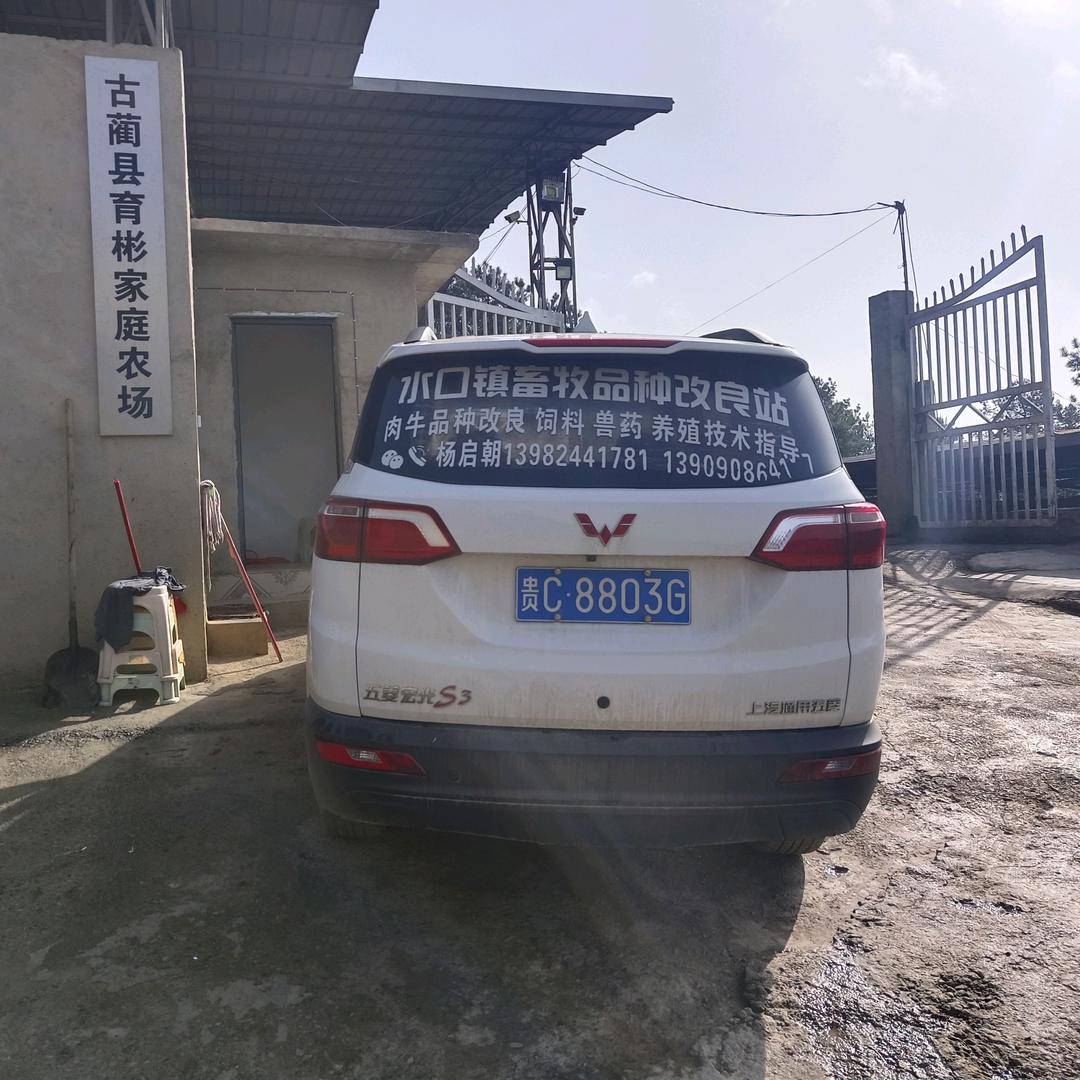 茅溪镇育彬动保服务中心