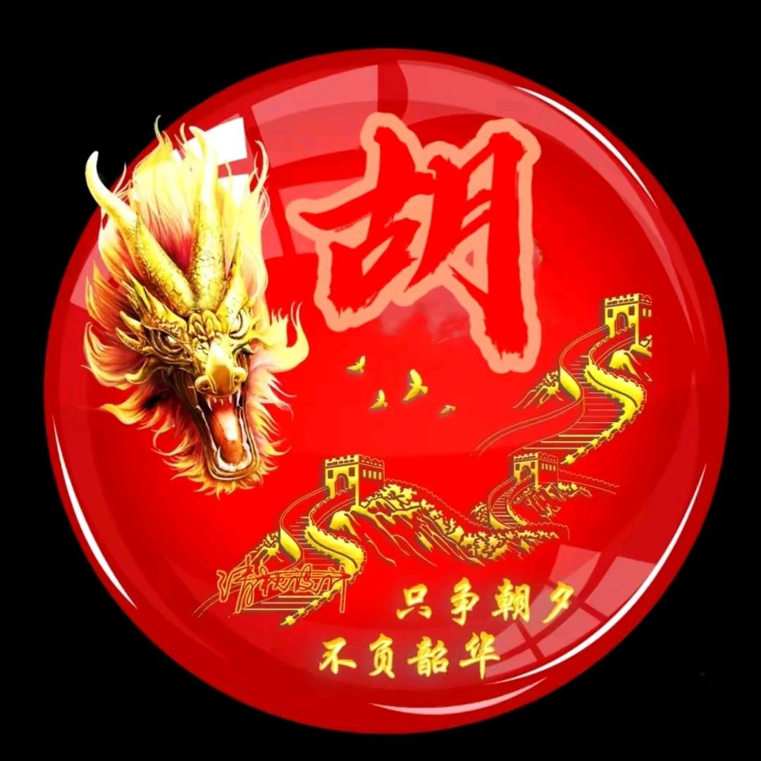胡进