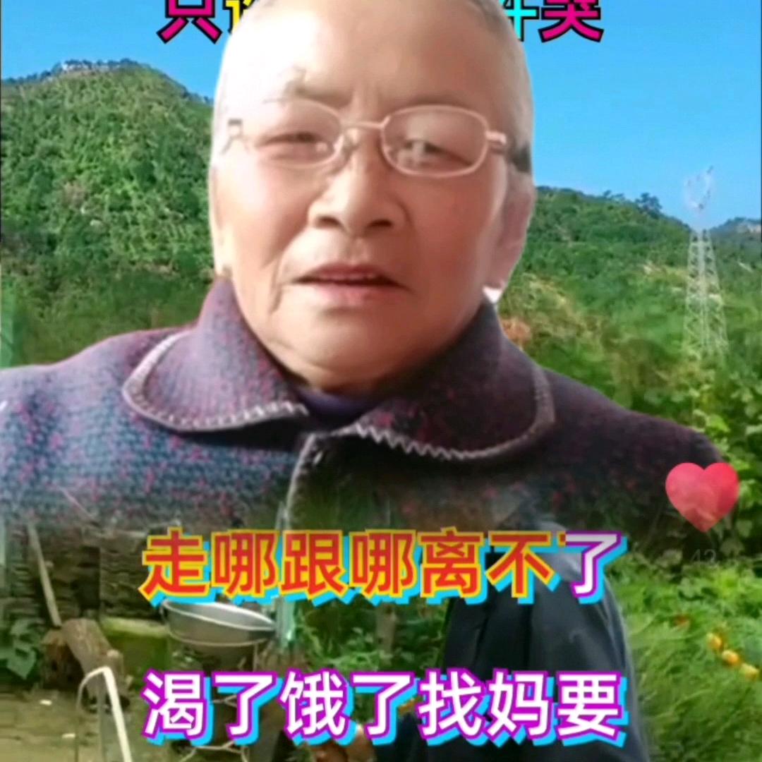 江三姐