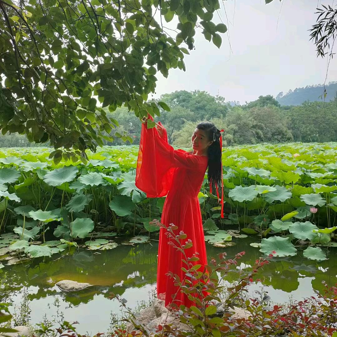仙女姐姐
