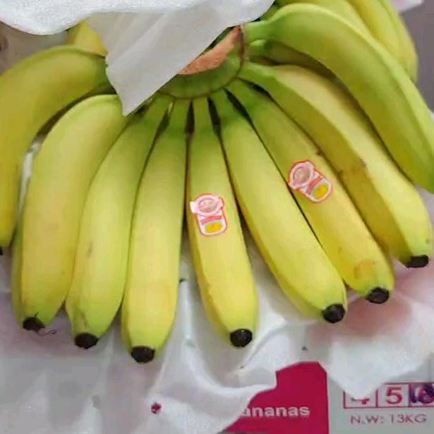 精品香蕉批发全国