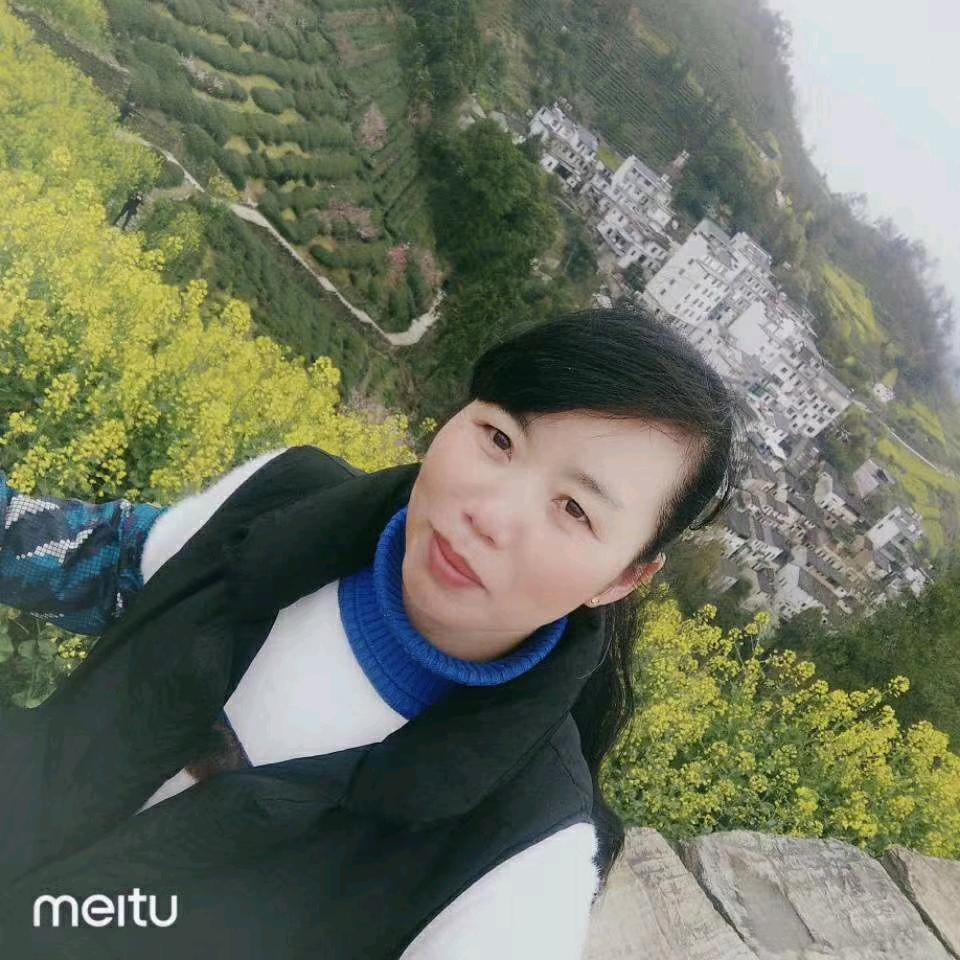 阳光总在风雨后