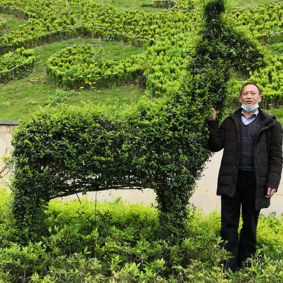 老张，家住大坪上