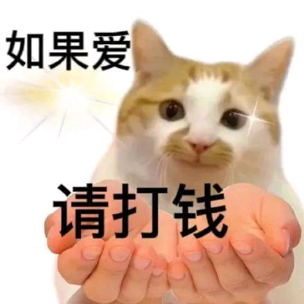 是鱼鱼鱼子酱！