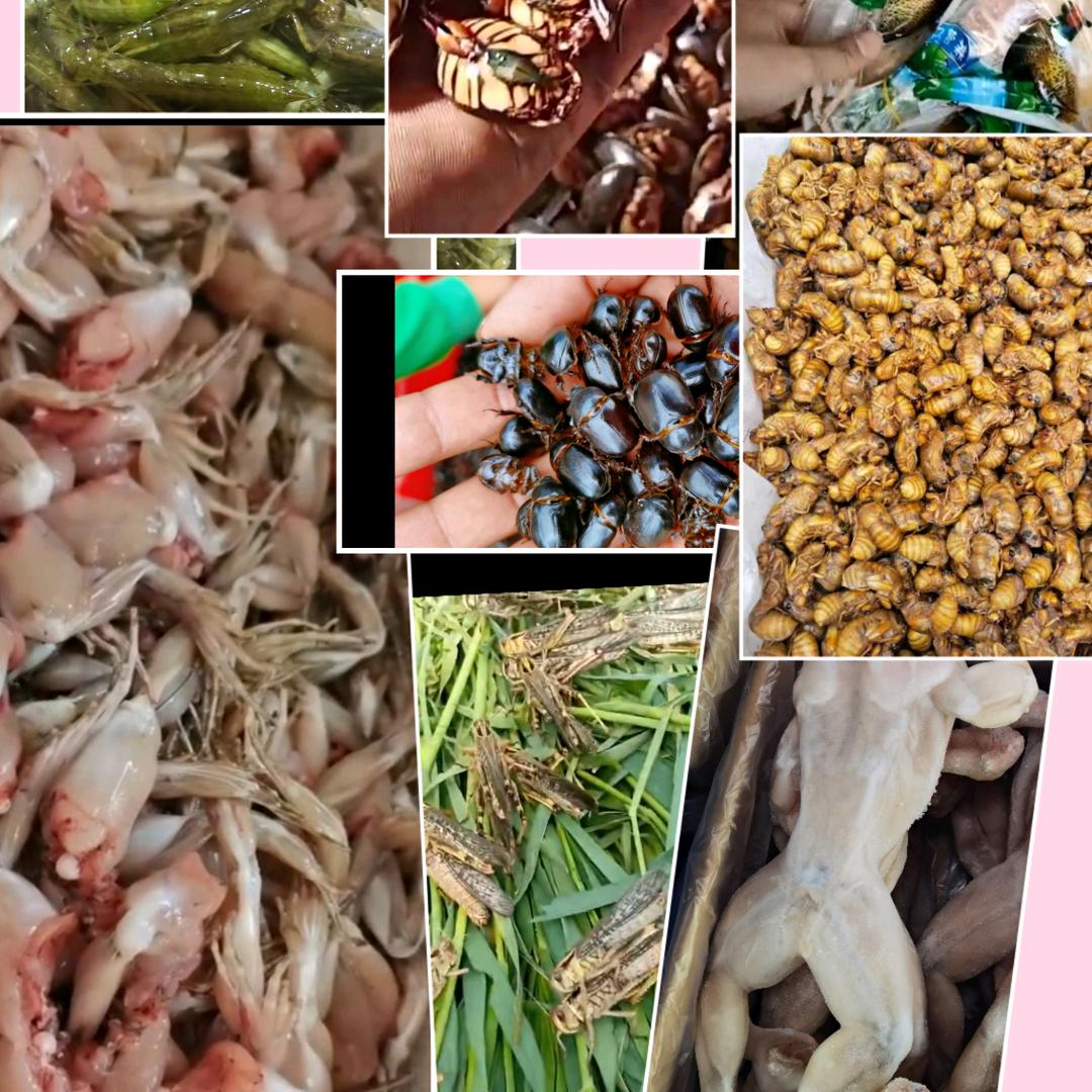 王洪虫业