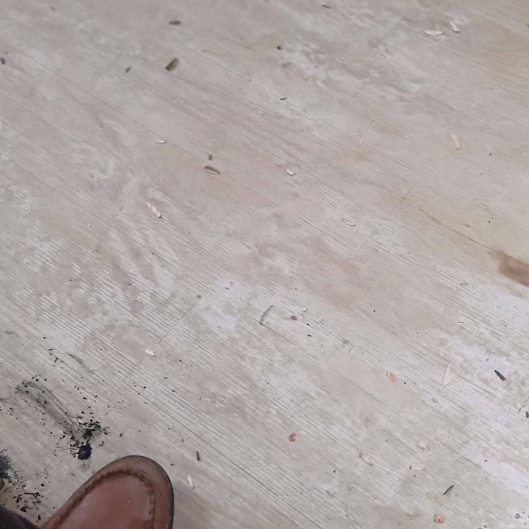 马丁名舍