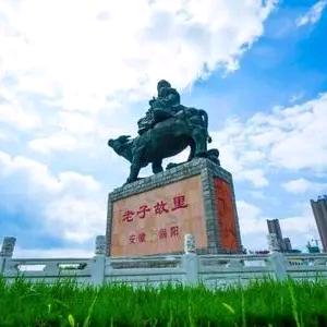 涡阳热现