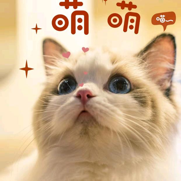 奇妙动物馆