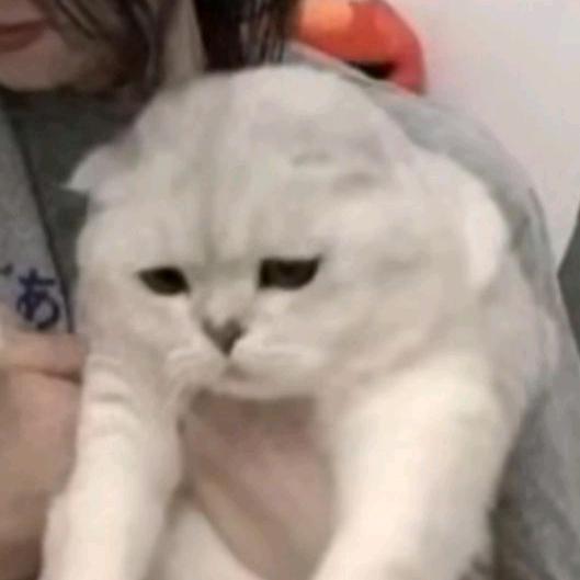 今天开始早睡早起身体好