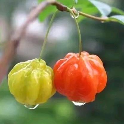 钱包暴张