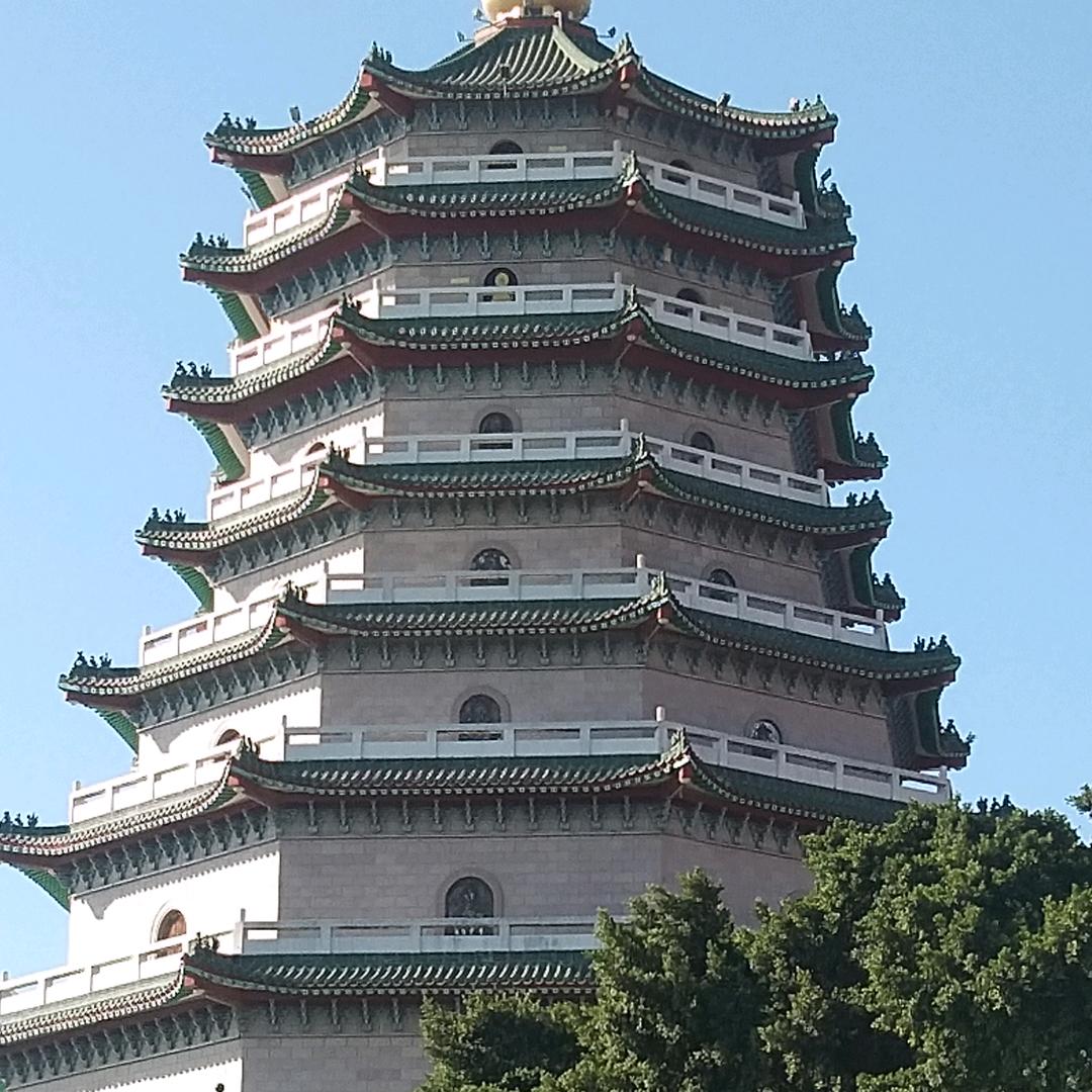 康乃馨