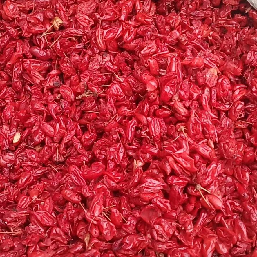 陕西，皂刺，李氏