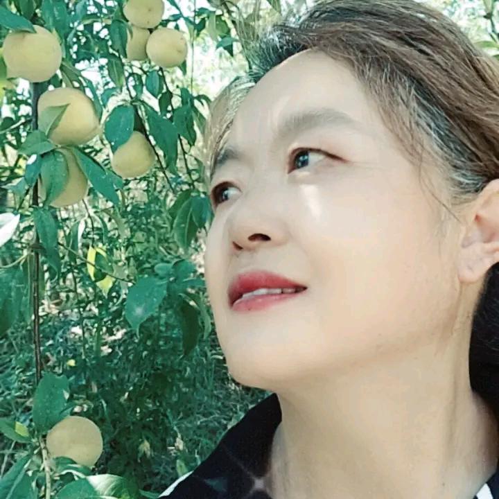 每天给生活一个微笑