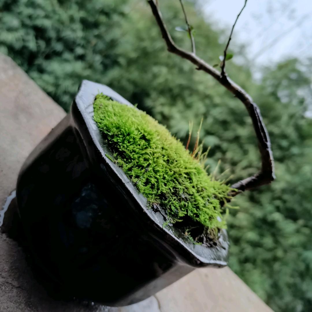 通知