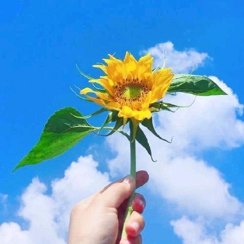 言言正能量